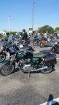 user318098_pic91766_1538966724.jpg