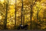 _MG_3804.jpg